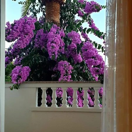 Silvana Padovan * Rab Town